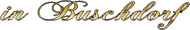 in Buschdorf